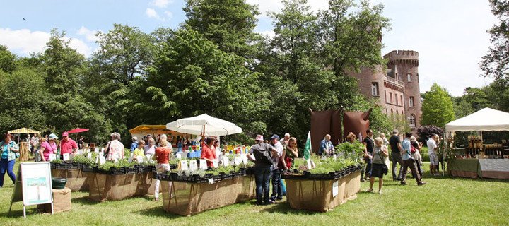 Moyländer Kräutergartenfest