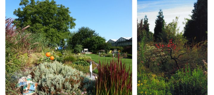 Privatgärten im Kleverland im September geöffnet!