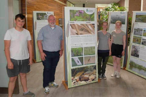 Kreis Kleve zeigt Ausstellung zur Röhricht-Anpflanzung
